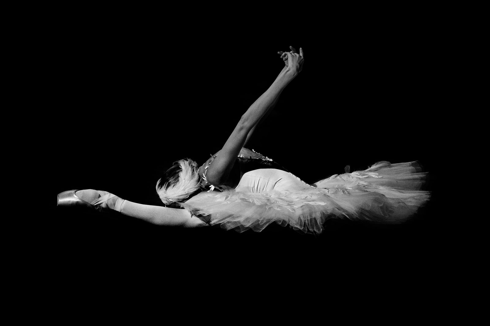 Alina Somova Dying Swan 2