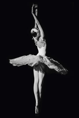 Dying Swan 2