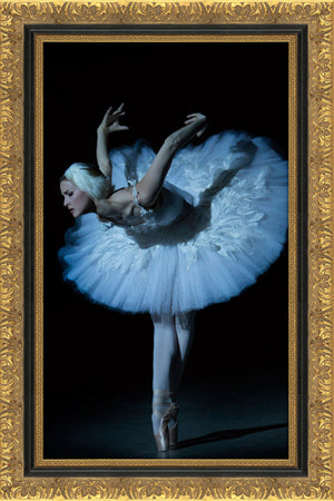 Dying Swan 4