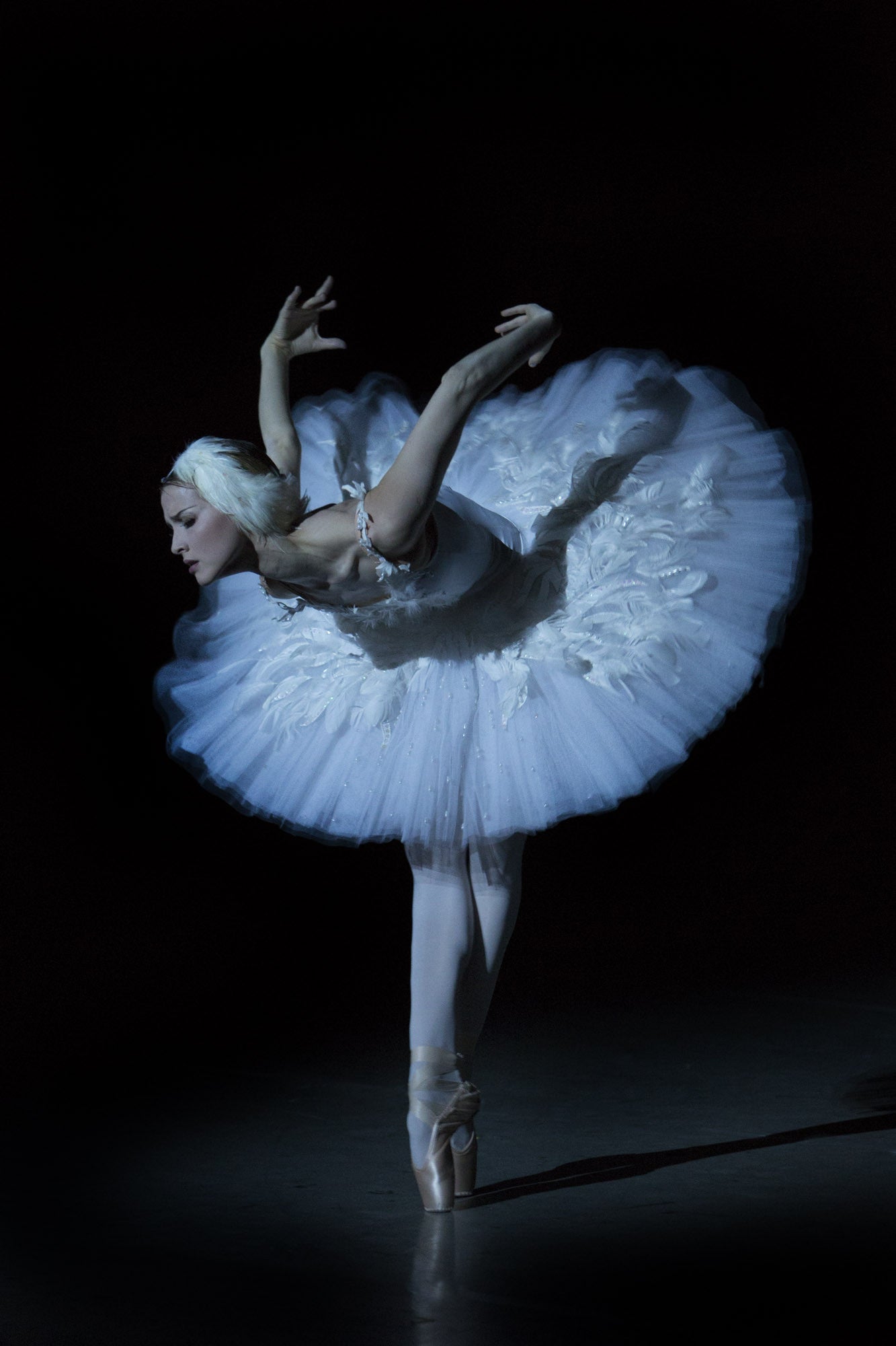 Dying Swan 4