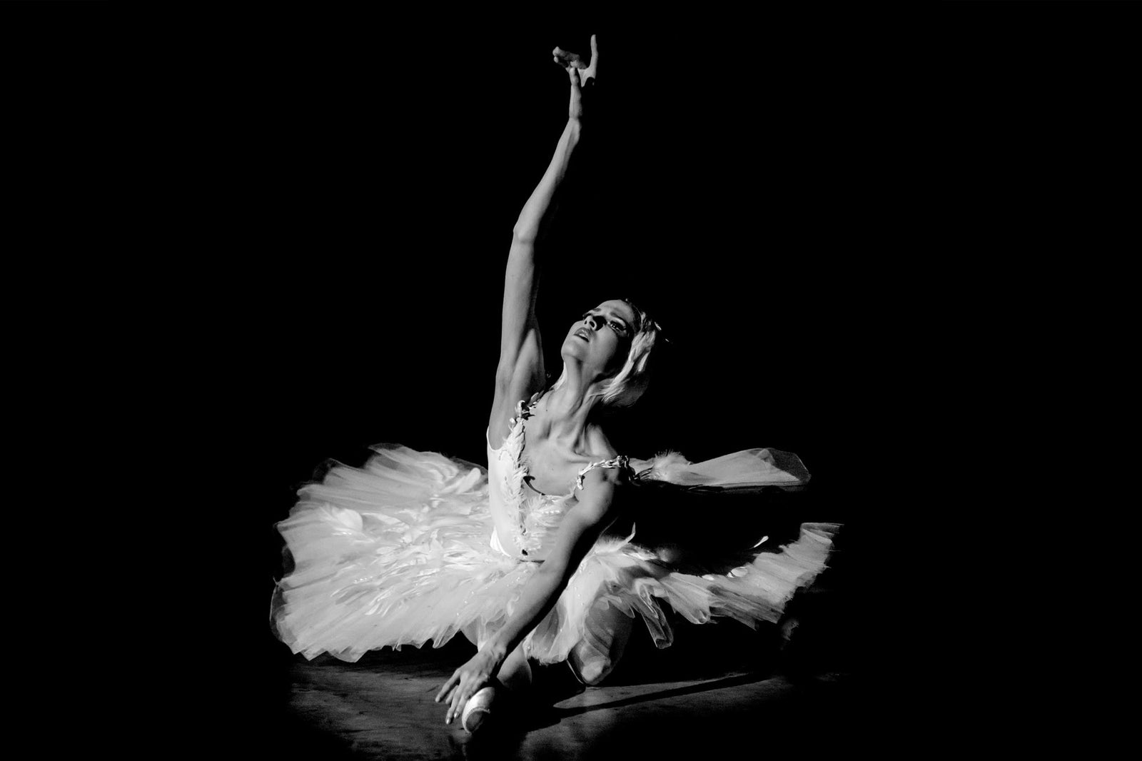 Alina Somova Dying Swan 3