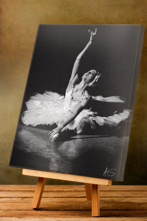 Dying Swan 3