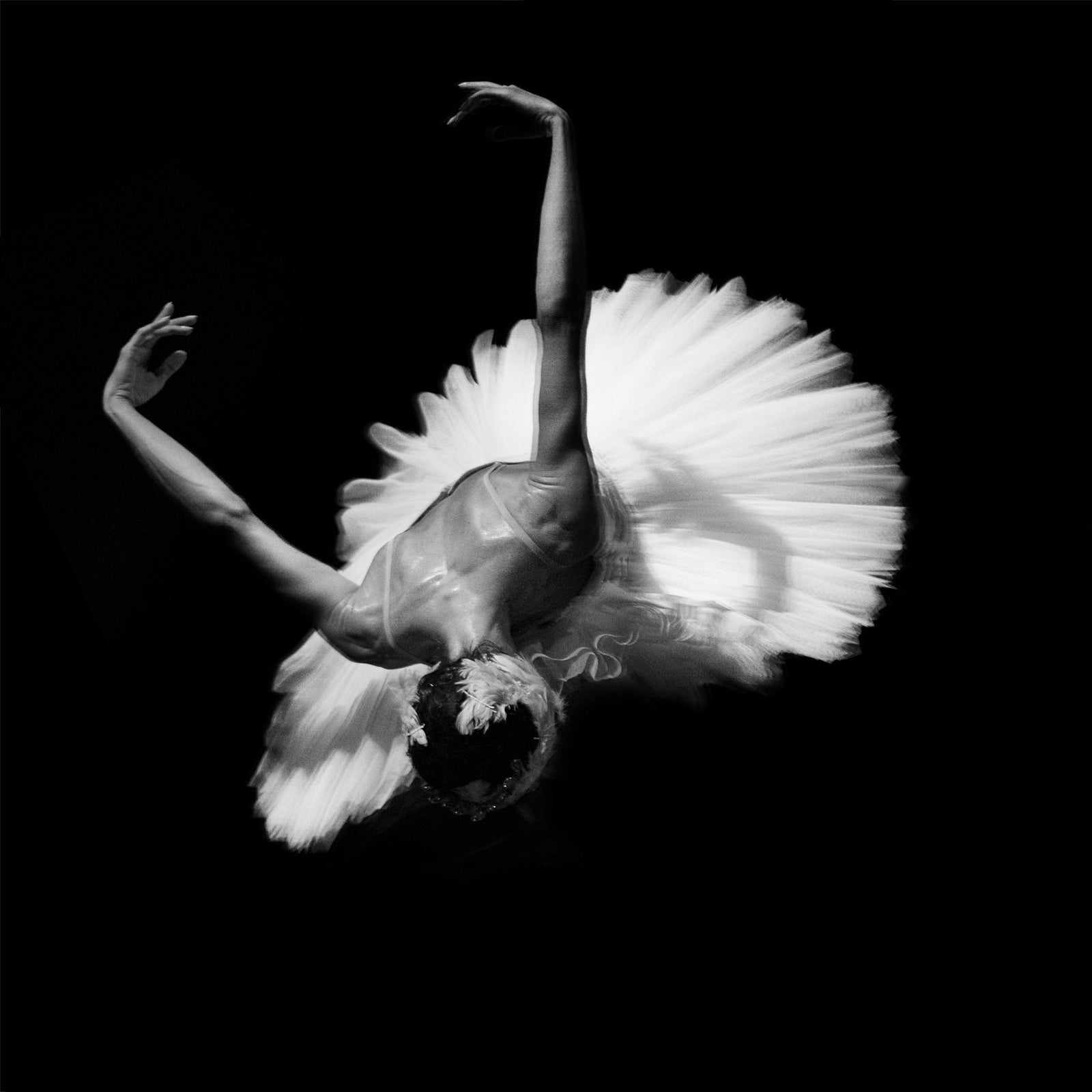 In Black and White 3