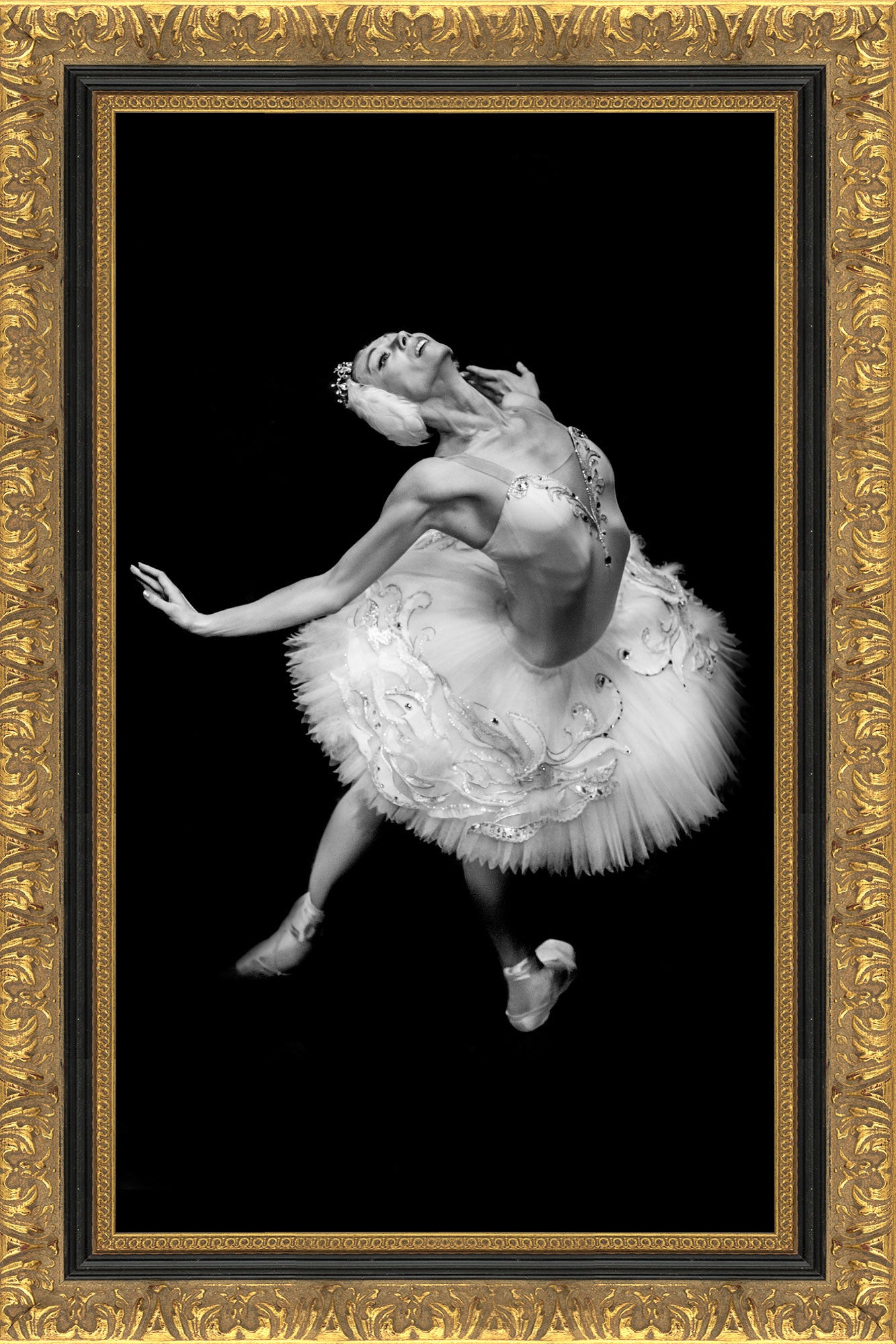 Bonynge - The Complete Ballet コレクション Richard Bonynge: Complete Ballet Recordings (45 Discs)
