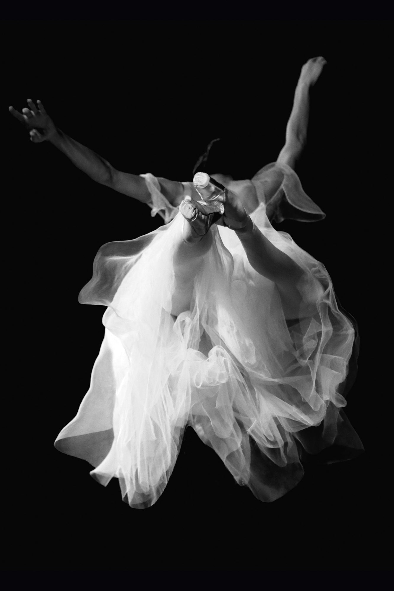 In Black and White 2