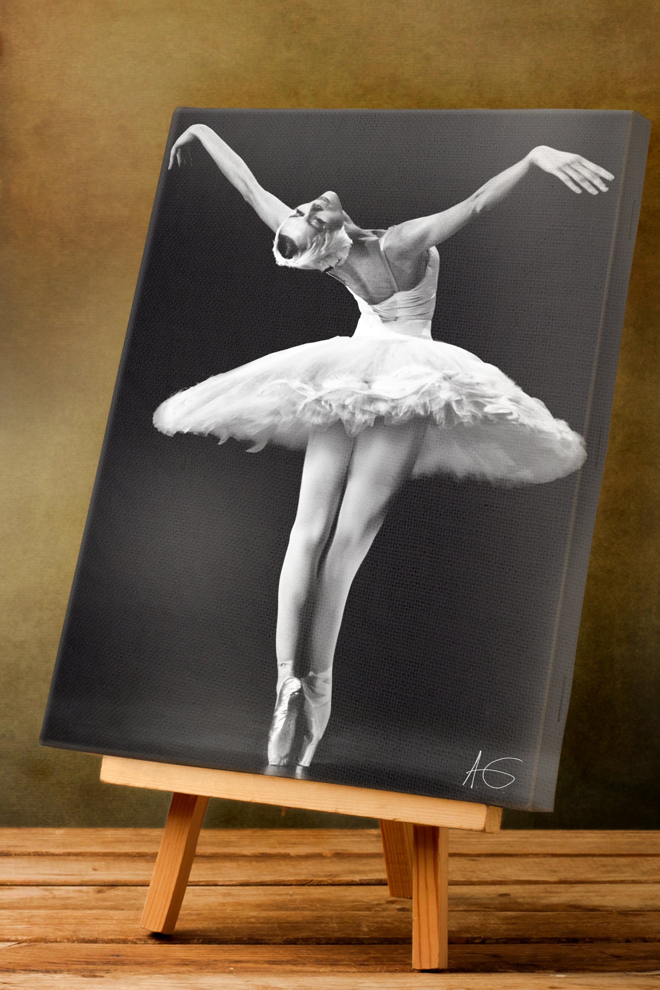 Dying Swan 1 - Sasha Gouliaev